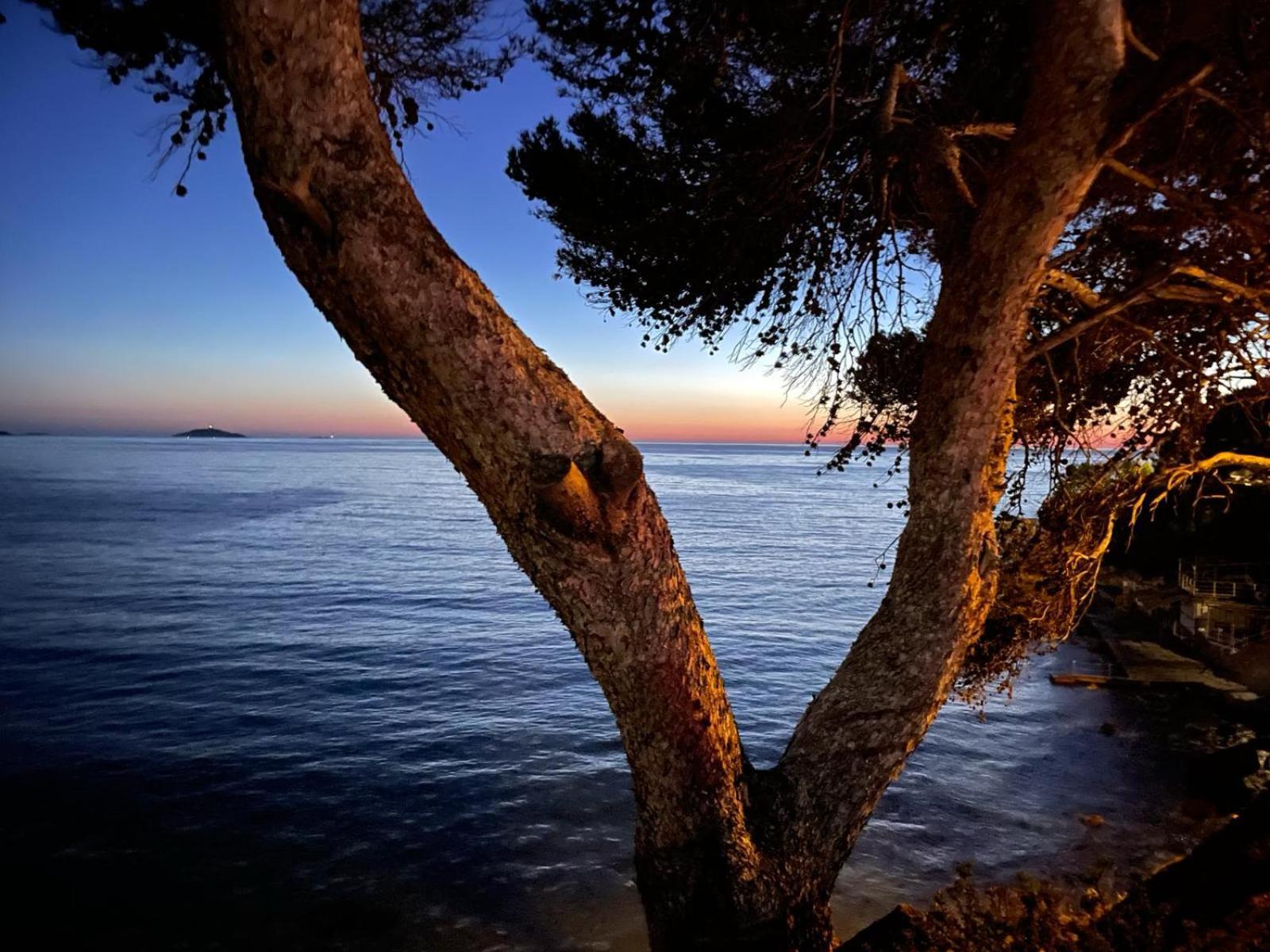 Vacances Bord De Mer - Appartement Sanary Sur Mer Buitenkant foto